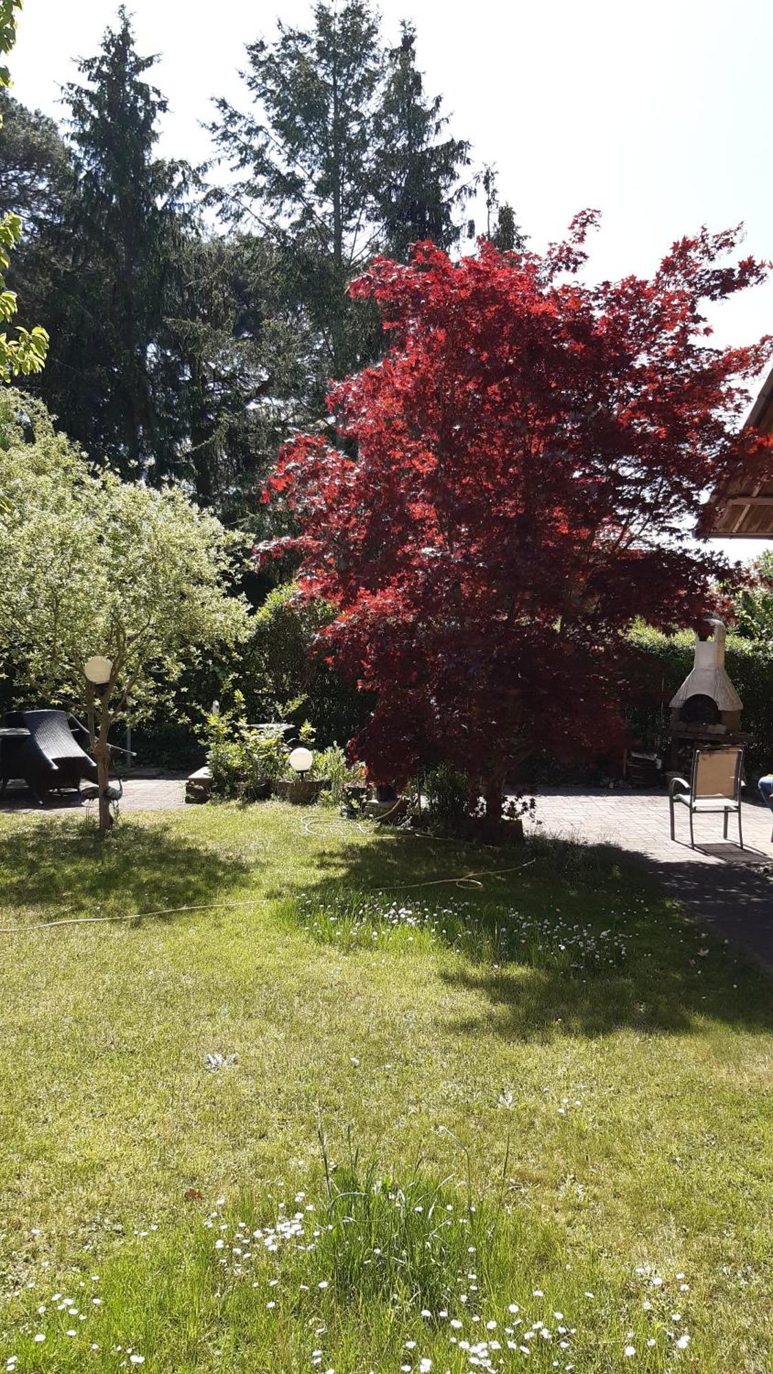 Ferienwohnung Luise, Gemuetlich, Freundlich Und Ganz Nah An Berlin Ораниенбург Экстерьер фото